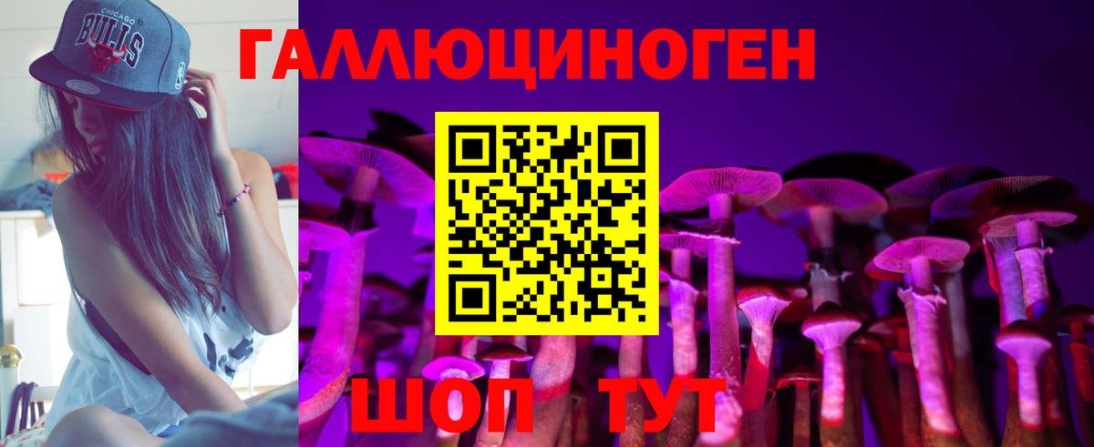 Галлюциногенные грибы Psilocybine cubensis Советская Гавань