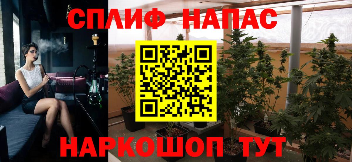 Конопля сатива  Вход с VPN  Советская Гавань  Марихуана OG Kush 